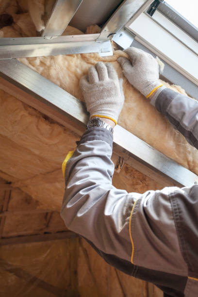 Best Insulation Maintenance and Repair in Blue Rapids, KS